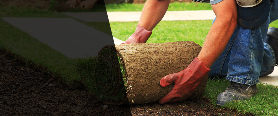 Collegeville Landscapers